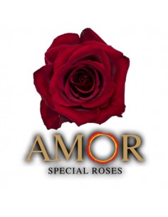 Rosa AMOR Vermelha 2